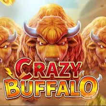 CRAZY BUFFALO